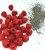 chia 3.png
